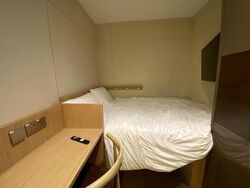Mount Elizabeth Link (D9), Condominium #606374731